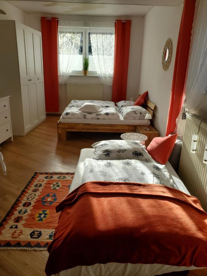 Andrea Apartment Murzzuschlag Ngoại thất bức ảnh